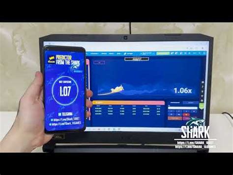 Shark 1XBET .